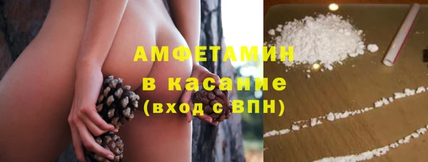 сатива Заволжск